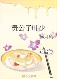 貴公子葉少