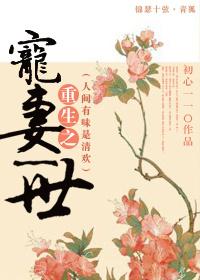 重生之寵妻一世