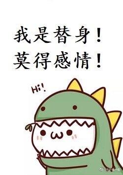 我是替身,莫得感情