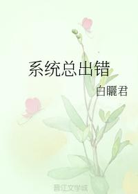 我的系統丢了