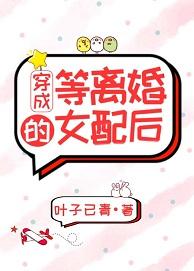 穿成等離婚的女配後