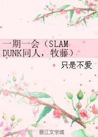 一期一會(SLAM DUNK同人,牧藤)