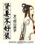賢妻不好裝
