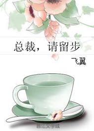 總裁,請留步