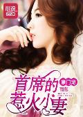 豪門寵:首席的惹火小妻