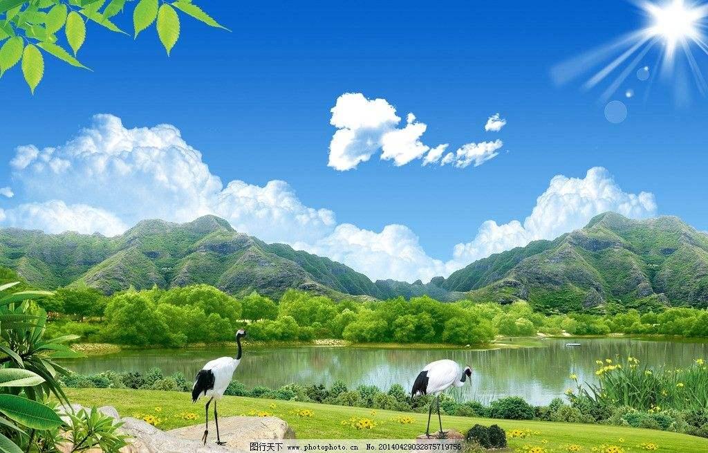 無遷有挂