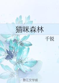貓咪森林