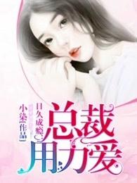 日久成瘾:總裁,用力愛
