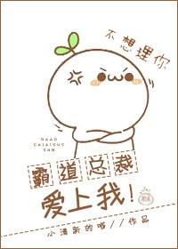 霸道總裁愛上我!