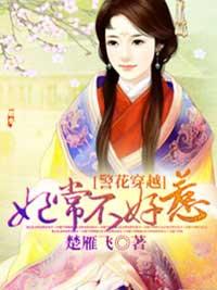 警花穿越:妃常不好惹