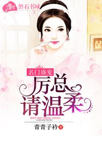 名門盛寵：厲總請溫柔葉一念厲琛