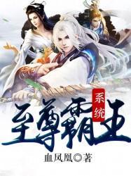 至尊霸王系統