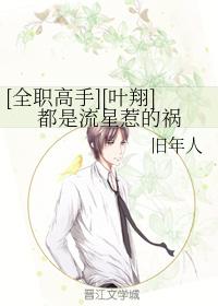 [全職高手][葉翔]都是流星惹的禍