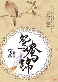 鴛鴦錦