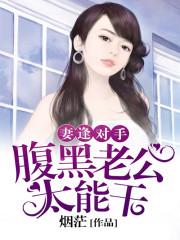 妻逢對手:腹黑老公太能幹