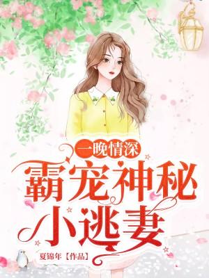 一晚情深:霸寵神秘小逃妻