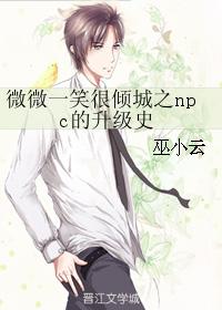 微微一笑很傾城之npc的升級史