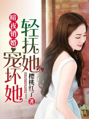 暗夜銷婚:輕撫她,寵壞她