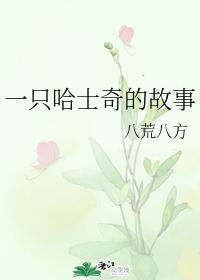 一只哈士奇的故事