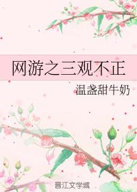 網游之三觀不正