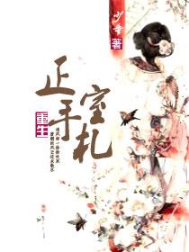 重生正室手劄(清)