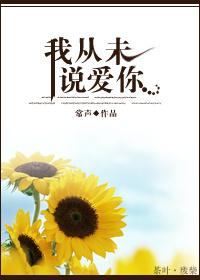 我從未說愛你