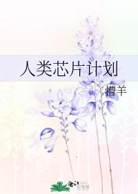 人類芯片計劃