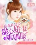 總裁枕邊愛:甜心嬌妻難馴服