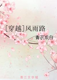 [穿越]風雨路