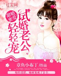 甜婚蜜愛:試婚老公輕輕寵