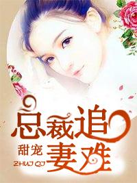 甜寵:總裁追妻難