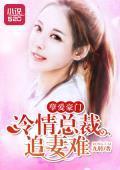 孽愛豪門:冷情總裁追妻難