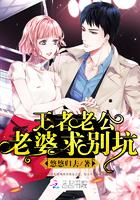王者老公:老婆求別坑