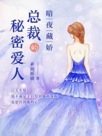 暗夜藏嬌:總裁的秘密愛人