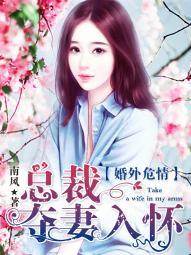 婚外危情:總裁奪妻入懷