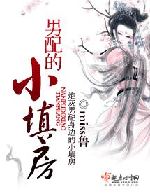 男配的小填房