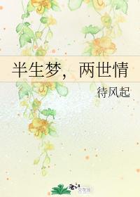 半生夢,兩世情
