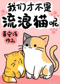 我們才不是流浪貓呢!