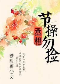 丞相,節操勿撿