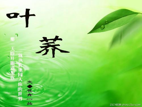 葉荞（異世重生）