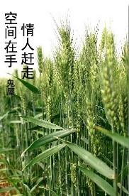 空間在手,情人趕走