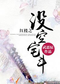 紅樓之沒空宅鬥