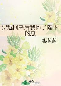 穿越回來後我懷了陛下的崽