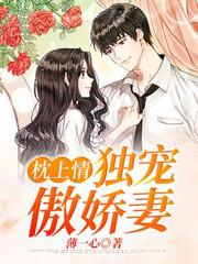 枕上情,獨寵傲嬌妻