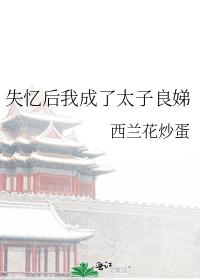 失憶後我成了太子良娣