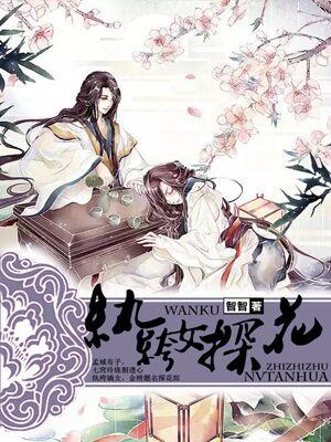纨绔女探花