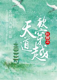 紅樓之天道被穿越