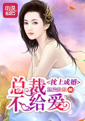 枕上成婚:總裁不給愛