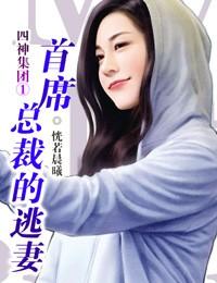 四神集團①:首席總裁的逃妻