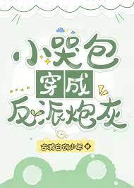 小哭包穿成反派炮灰